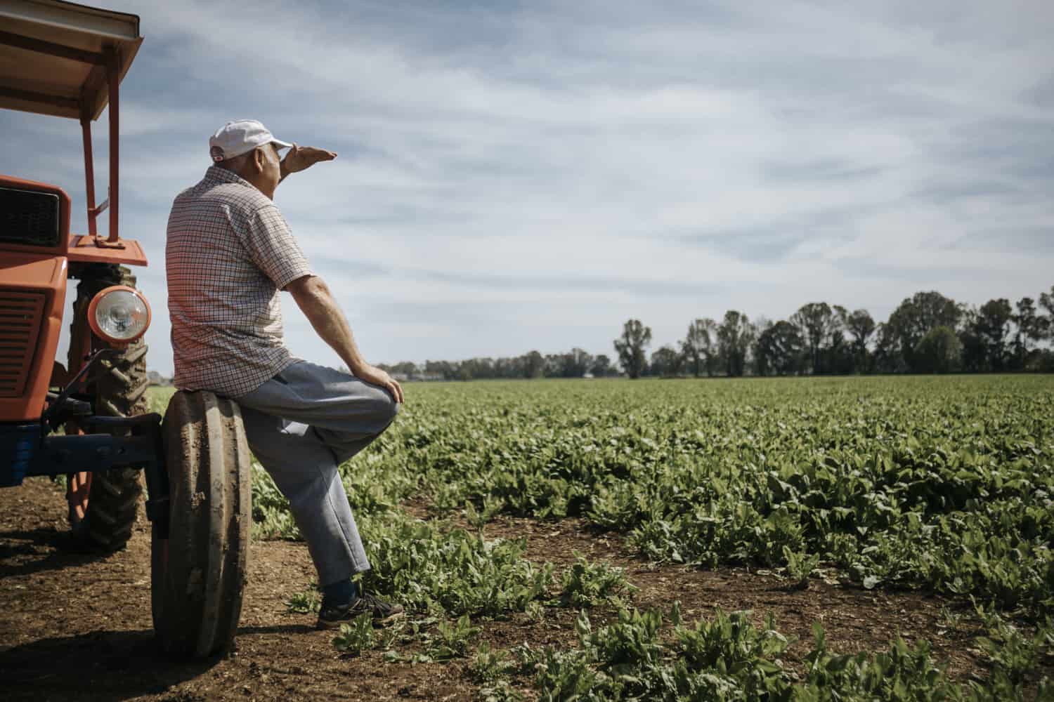 Fotografo pubblicitario per agricoltura imprese settore alimentare surgelati e lavorazione agricola