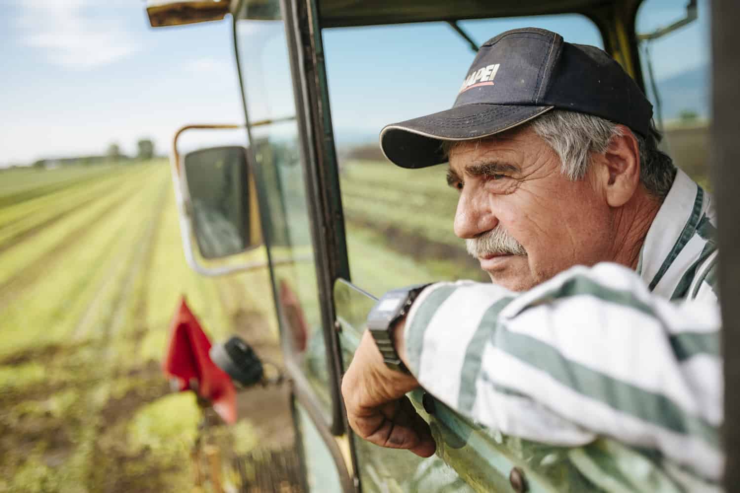 Fotografo pubblicitario per agricoltura imprese settore alimentare surgelati e lavorazione agricola
