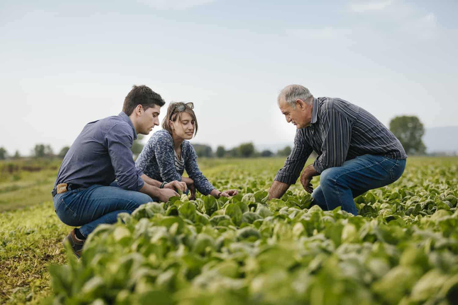 Fotografo pubblicitario per agricoltura imprese settore alimentare surgelati e lavorazione agricola