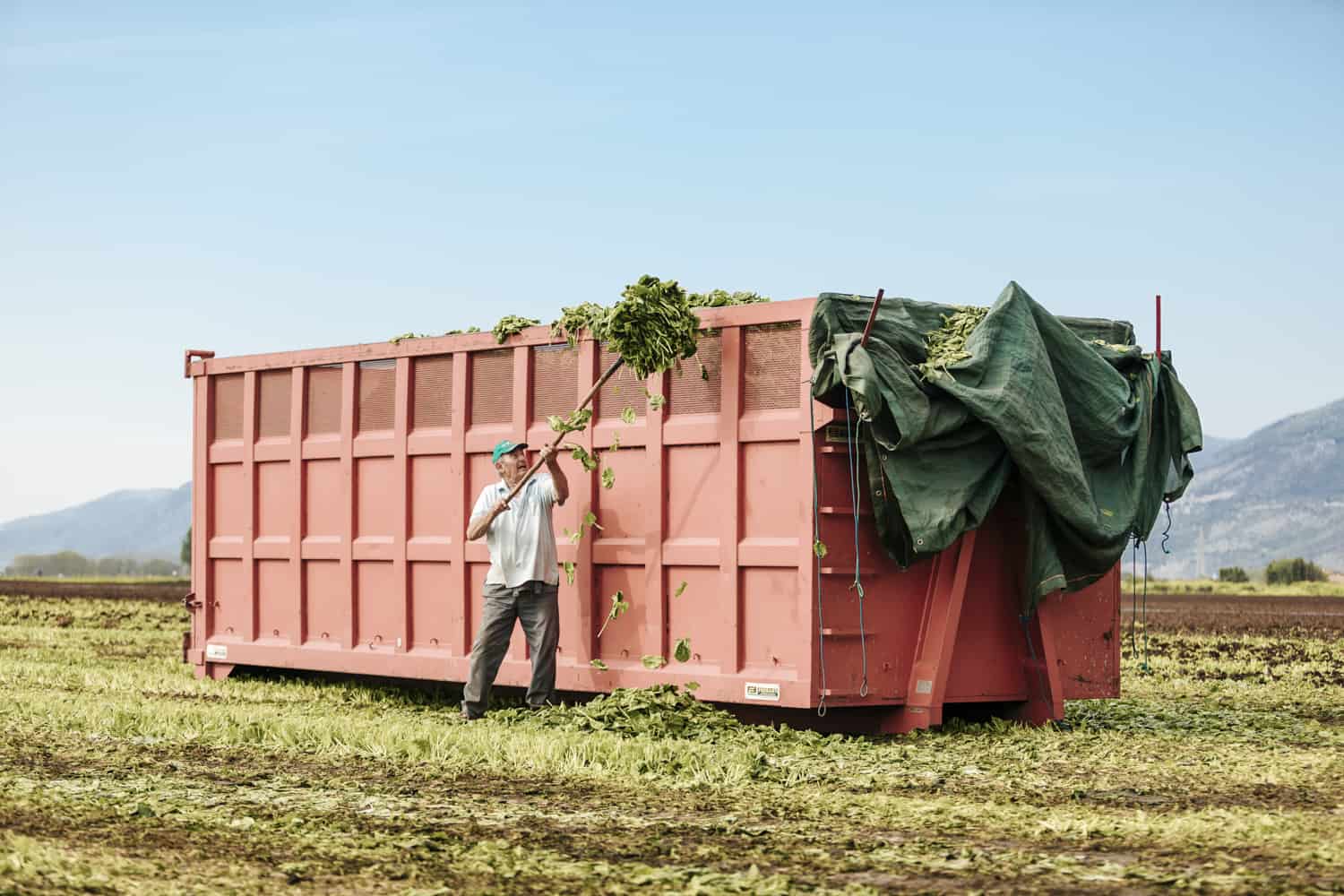 Fotografo pubblicitario per agricoltura imprese settore alimentare surgelati e lavorazione agricola