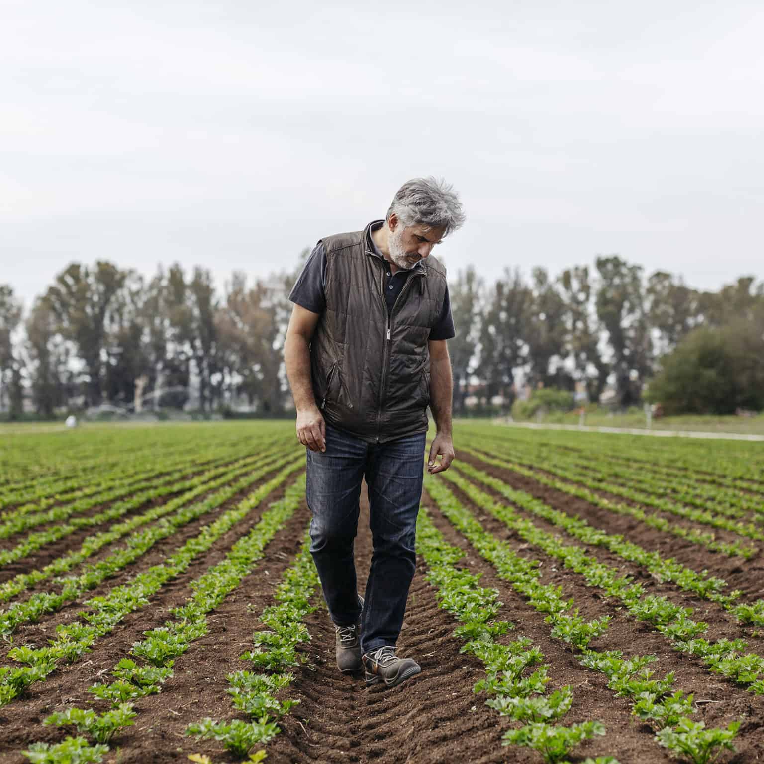 Fotografo pubblicitario per agricoltura imprese settore alimentare surgelati e lavorazione agricola