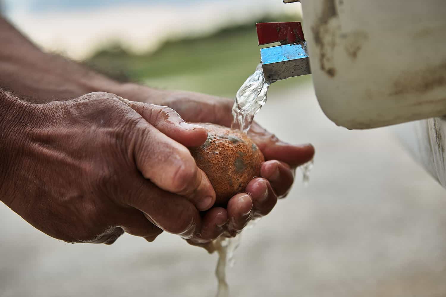 Fotografo reportage industriale agricoltura campi irrigazione a goccia coltivazioni
