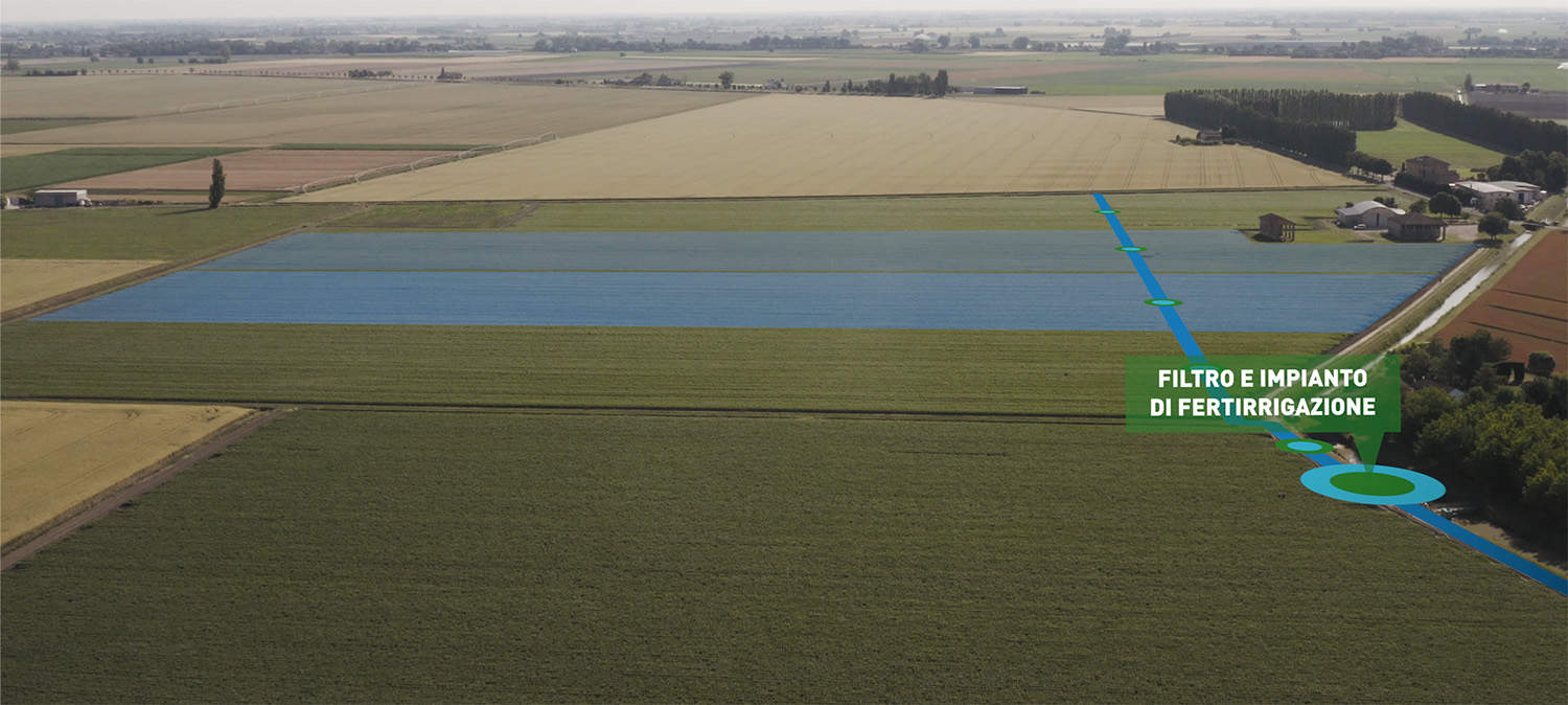 Fotografo reportage industriale agricoltura campi irrigazione a goccia coltivazioni